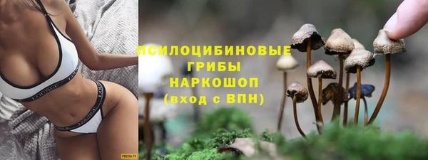 молекула духа Заволжск