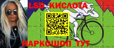 шишки Гагарин