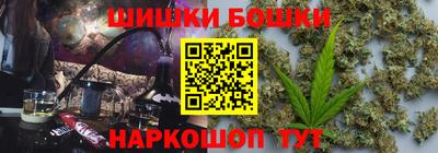 шишки Гагарин