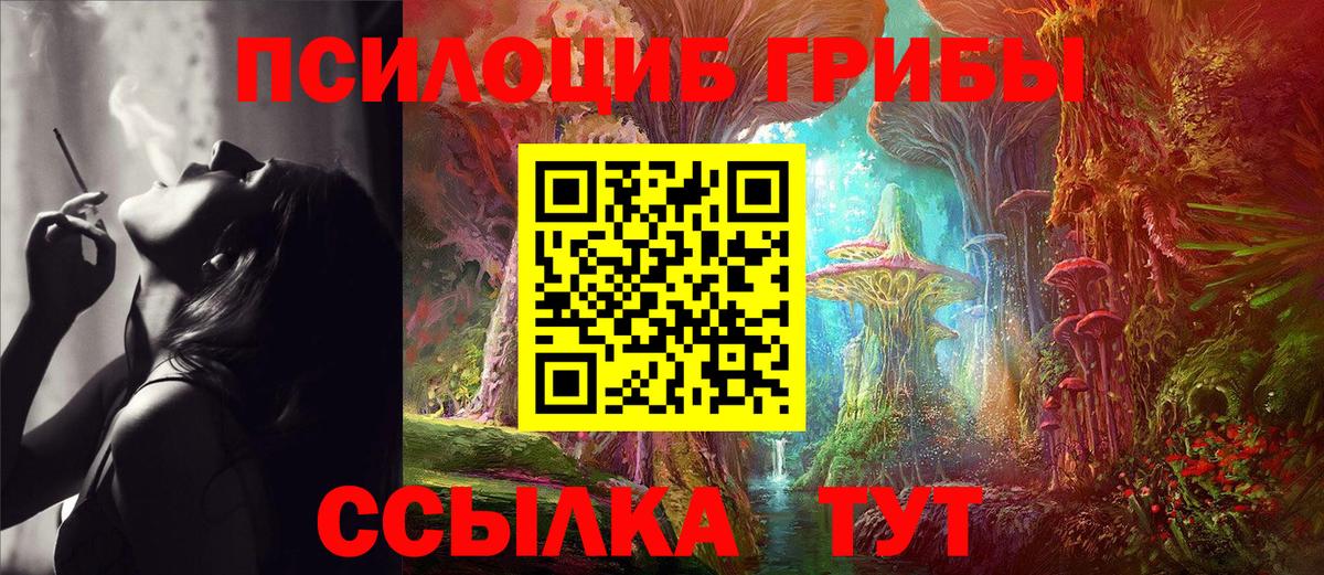 Псилоцибиновые грибы Cubensis Ковров