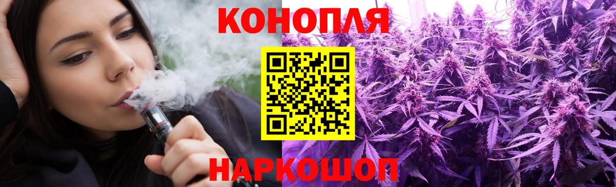 Канабис планчик Ковров